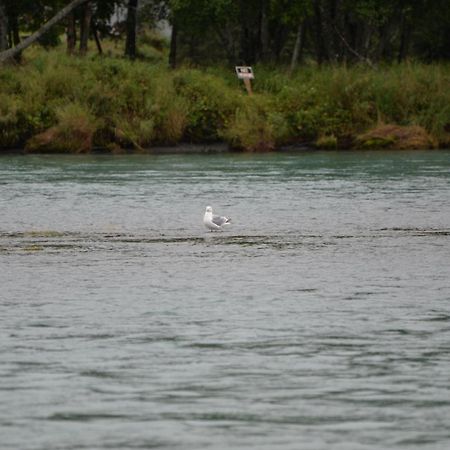 Salmon Catcher Lodge Kenai Luaran gambar