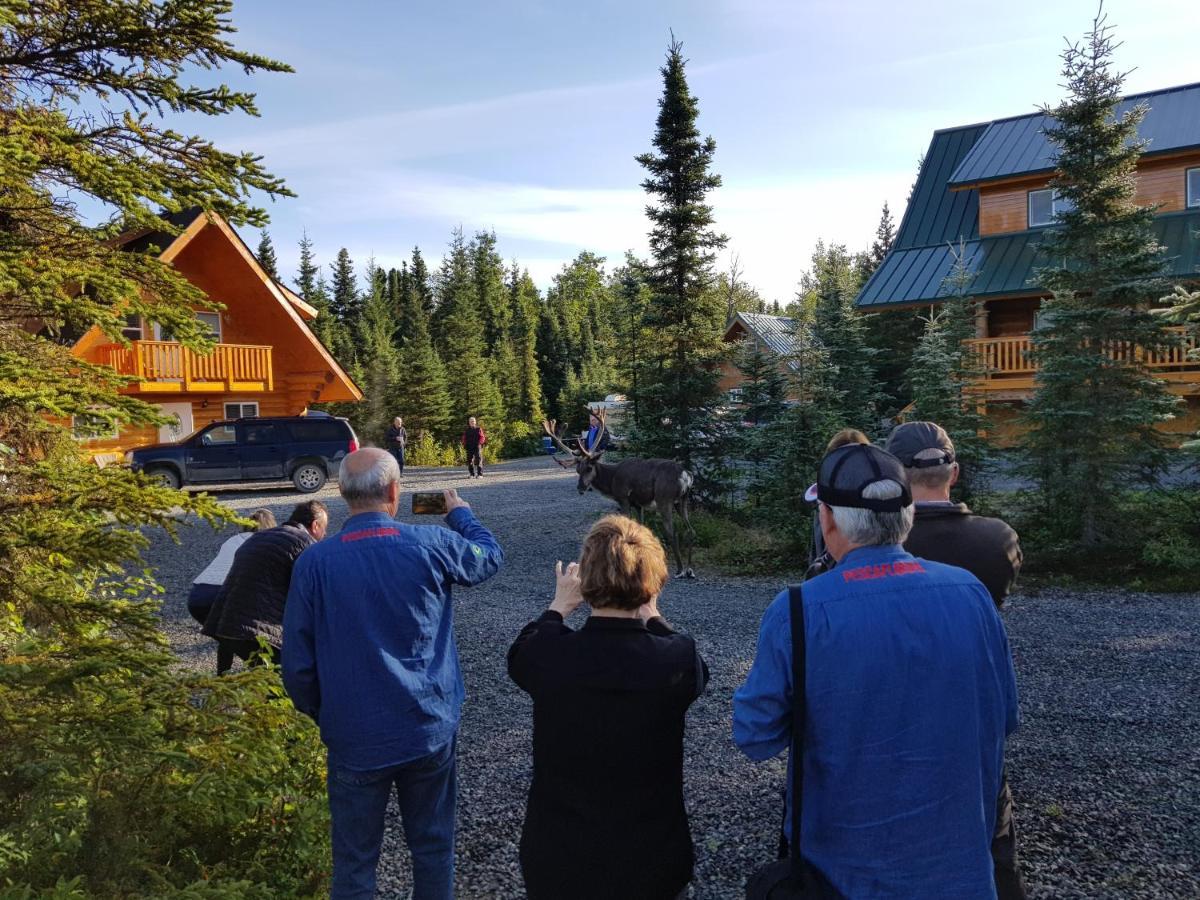 Salmon Catcher Lodge Kenai Luaran gambar